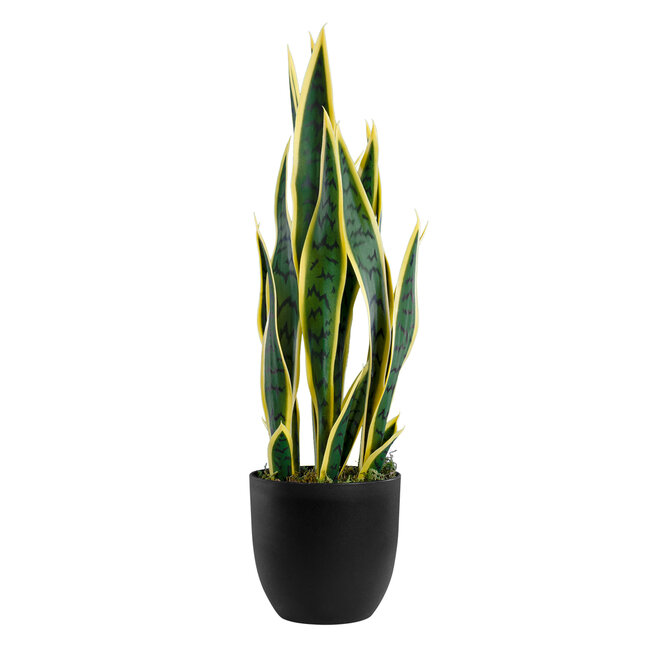 Artificial Garden BLOODLEAF DRACAENA TRIFASCIATA 20060 Τεχνητό Διακοσμητικό Φυτό Αιματόφυλλη Σανσεβιέρια Υ70cm - 2