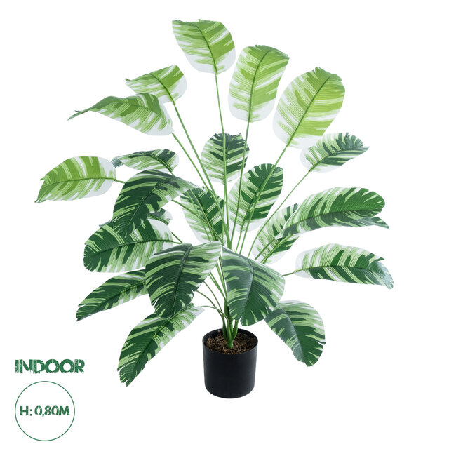 Artificial Garden BANANA ZEBRA 20918 Διακοσμητικό Φυτό Μπανανιά Ζέβρα Υ80cm