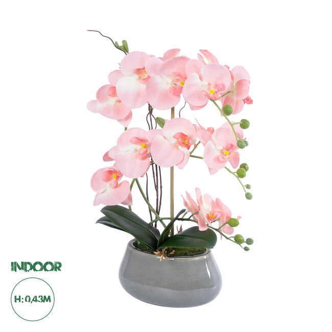 Artificial Garden SALMON PINK ORCHID 21122 Διακοσμητικό Φυτό Ροζ-Πορτοκαλί Ορχιδέα Υ43cm Artificial Garden SALMON PINK ORCHID 21122 Διακοσμητικό Φυτό Ροζ-Πορτοκαλί Ορχιδέα Υ43cm