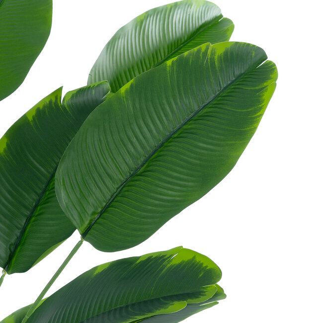 Artificial Garden YOUNG BANANA 20916 Διακοσμητικό Φυτό Νεαρή Μπανανιά Υ80cm