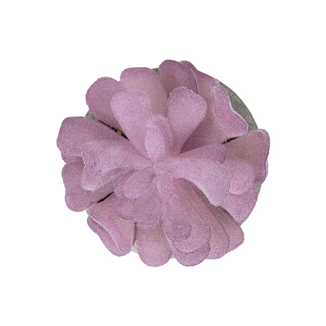 Artificial Garden SUCCULENT CRASSULA POTTED PLANT 21029 Διακοσμητικό Φυτό Κρασούλα Φ7 x Υ10,5cm Artificial Garden SUCCULENT CRASSULA POTTED PLANT 21029 Διακοσμητικό Φυτό Κρασούλα Φ7 x Υ10,5cm