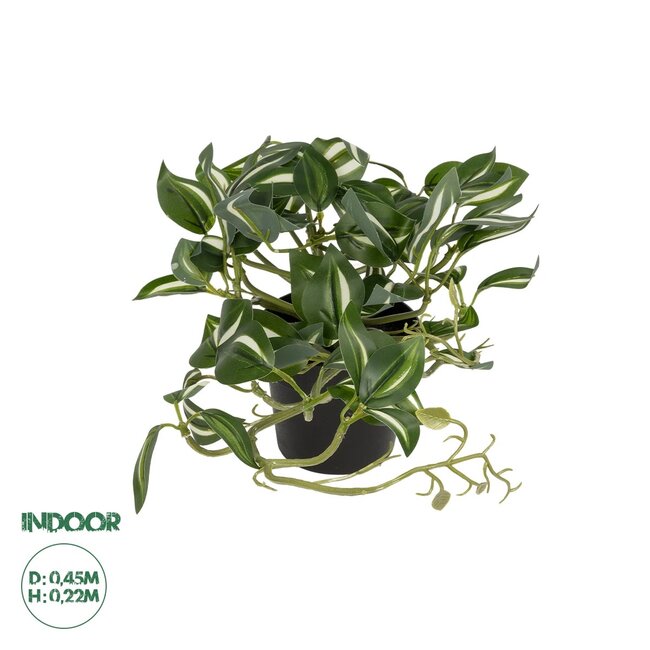 Artificial Garden ZEBRINA PLANT 20960 Διακοσμητικό Φυτό Ζεμπρίνα Φ45 x Υ22cm