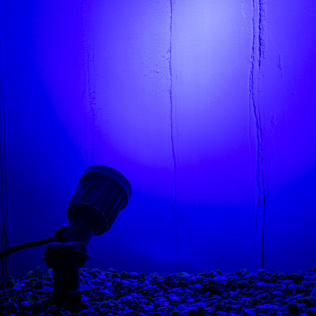 GARDENINI 61545 Καρφωτό Φωτιστικό Σποτ Κήπου LED 5W 550lm 38° DC 24V IP68 Υψηλής Αντοχής ABS IK06 Φ5.5 x Υ13.5cm - Μπλε 450nm Dimmable - Μαύρο - Bridgelux Chip - 3 Years Warranty - 10