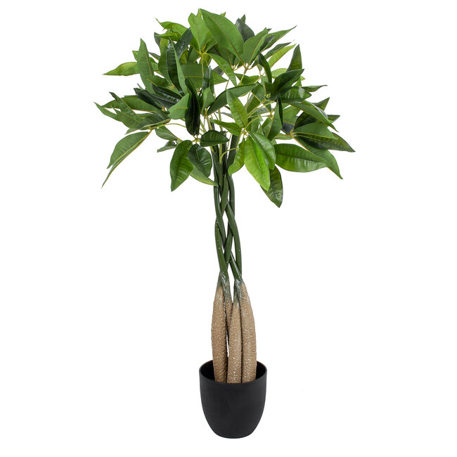 Artificial Garden PACHIRA GLABRA 20427 Τεχνητό Διακοσμητικό Φυτό Παχίρα της Τύχης Υ90cm Artificial Garden PACHIRA GLABRA 20427 Τεχνητό Διακοσμητικό Φυτό Παχίρα της Τύχης Υ90cm