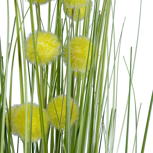 Artificial Garden CRASPEDIA GRASS 20112 Τεχνητό Διακοσμητικό Φυτό Κρασπέδια Υ150cm Artificial Garden CRASPEDIA GRASS 20112 Τεχνητό Διακοσμητικό Φυτό Κρασπέδια Υ150cm