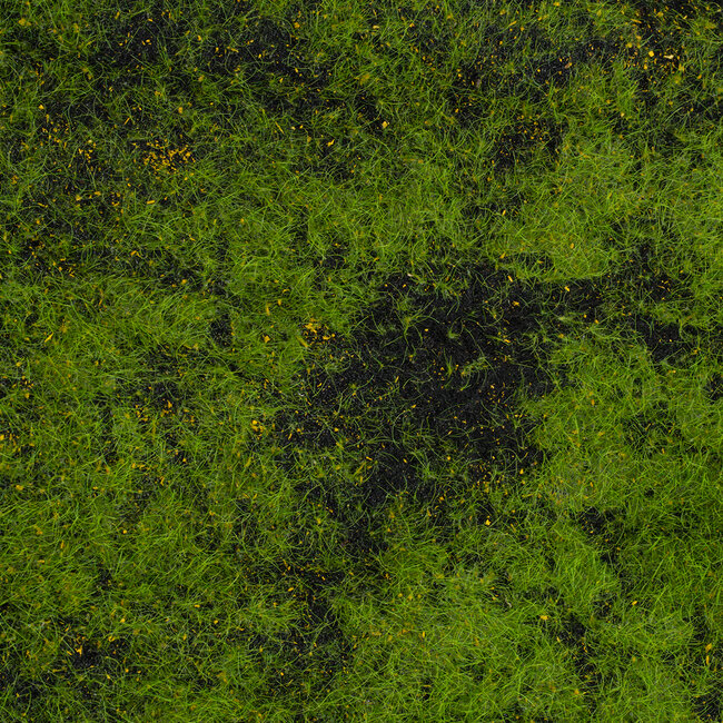 Artificial Garden BRYOPHYTA 20146 Τεχνητό Διακοσμητικό Πάνελ Φυλλωσιάς - Κάθετος Κήπος Βρύα Μ100 x Π100 x Υ2cm - 6