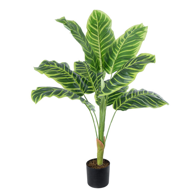 Artificial Garden YELLOW ZEBRA 20942 Τεχνητό Διακοσμητικό Φυτό Κίτρινη Ζέβρα Υ90cm Artificial Garden YELLOW ZEBRA 20942 Τεχνητό Διακοσμητικό Φυτό Κίτρινη Ζέβρα Υ90cm
