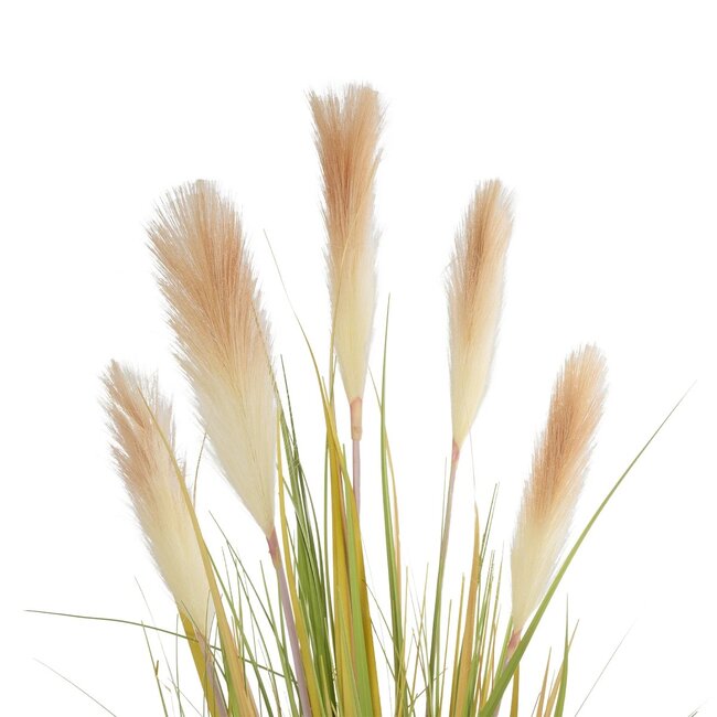 Artificial Garden PAMPAS GRASS 21477 Τεχνητό Διακοσμητικό Φυτό Παμπας Υ120cm Artificial Garden PAMPAS GRASS 21477 Τεχνητό Διακοσμητικό Φυτό Παμπας Υ120cm
