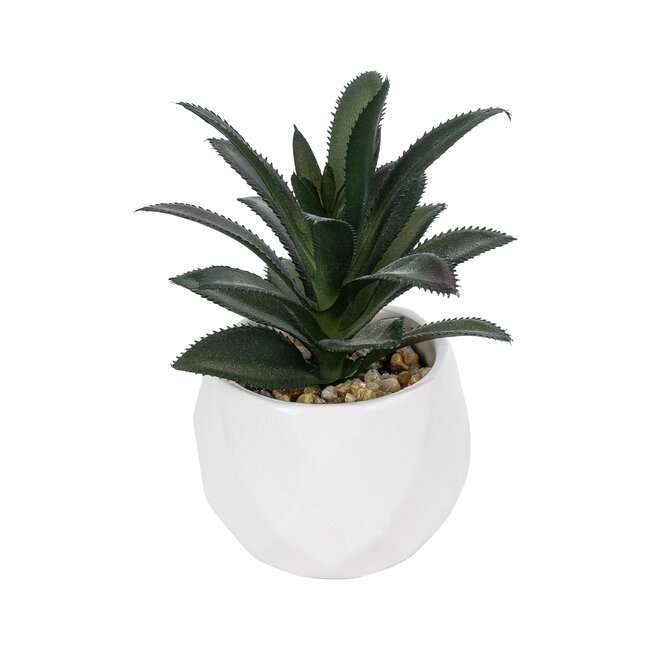 Artificial Garden SUCCULENT ALOE POTTED PLANT 20983 Διακοσμητικό Φυτό Αλόης Φ9 x Υ12cm Artificial Garden SUCCULENT ALOE POTTED PLANT 20983 Διακοσμητικό Φυτό Αλόης Φ9 x Υ12cm