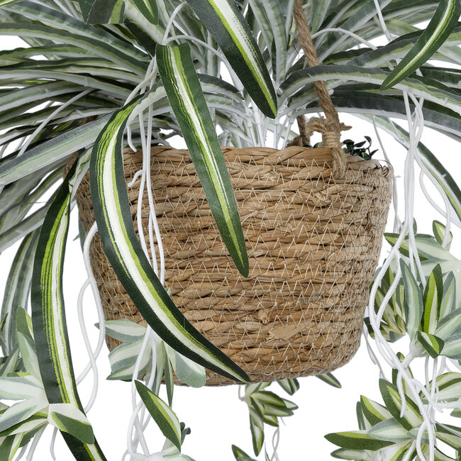 Artificial Garden CHLOROPHYTUM COMOSUM HANGING PLANT 20638 Τεχνητό Κρεμαστό Διακοσμητικό Χλωρόφυτο  Y50cm - 6