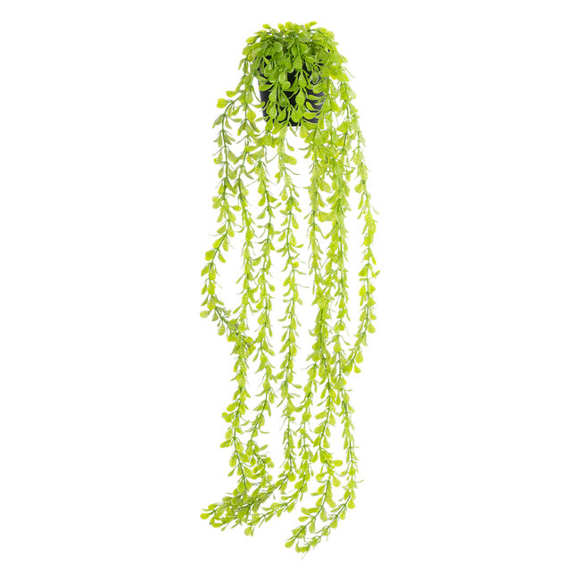 Artificial Garden HANGING MYRTLE 20881 - Τεχνητό Κρεμαστό Διακοσμητικό Φυτό Μυρτιά Φ21 x Y80cm Artificial Garden HANGING MYRTLE 20881 - Τεχνητό Κρεμαστό Διακοσμητικό Φυτό Μυρτιά Φ21 x Y80cm