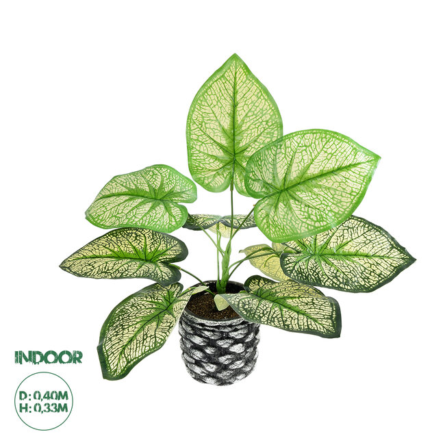 Artificial Garden CALADIUM 20889 Τεχνητό Διακοσμητικό Φυτό Τροπικό Φυτό Φ40 x Υ33cm Artificial Garden CALADIUM 20889 Τεχνητό Διακοσμητικό Φυτό Τροπικό Φυτό Φ40 x Υ33cm