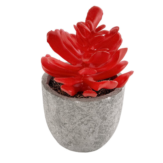 Artificial Garden SUCCULENT CRASSULA 21013 Διακοσμητικό Φυτό Παχύφυτο Κράσουλα Υ11.5cm Artificial Garden SUCCULENT CRASSULA 21013 Διακοσμητικό Φυτό Παχύφυτο Κράσουλα Υ11.5cm