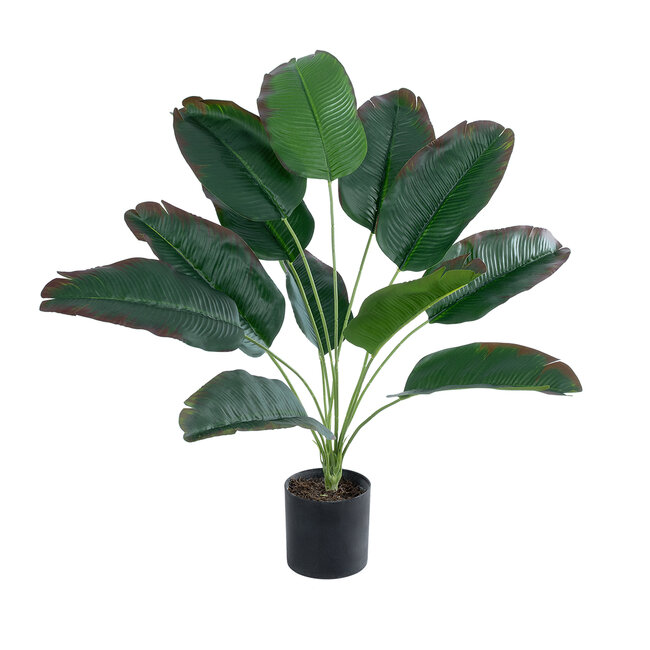 Artificial Garden BANANA 20928 Διακοσμητικό Φυτό Μπανανιά Υ55cm - 2