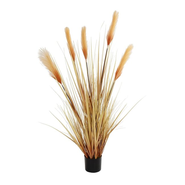 Artificial Garden PAMPAS GRASS 21476 Τεχνητό Διακοσμητικό Φυτό Μπεζ Πάμπας Μ90 x Π40 x Υ150cm - 2