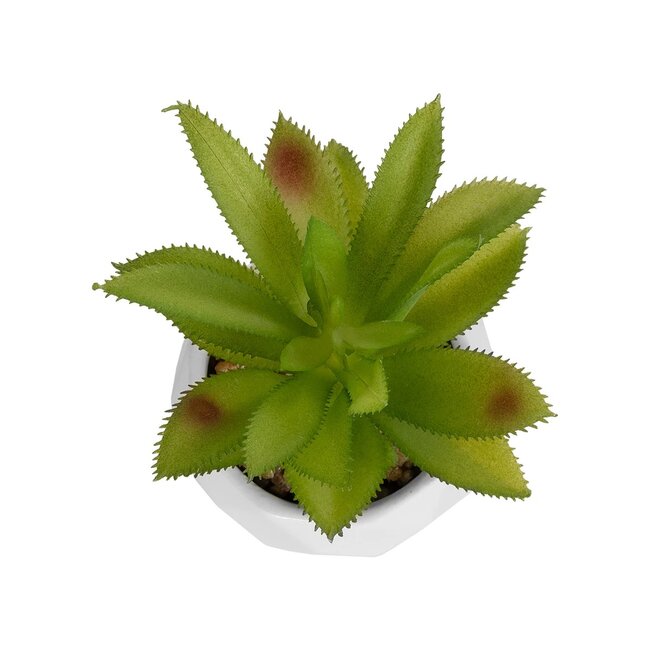 Artificial Garden SUCCULENT ALOE POTTED PLANT 20984 Διακοσμητικό Φυτό Αλόη Φ9 x Υ12cm