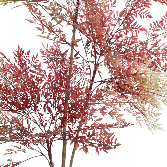 Artificial Garden RED NANDINA PLANT 20966 Διακοσμητικό Φυτό Κόκκινη Ναντίνα Φ66 x Υ150cm Artificial Garden RED NANDINA PLANT 20966 Διακοσμητικό Φυτό Κόκκινη Ναντίνα Φ66 x Υ150cm