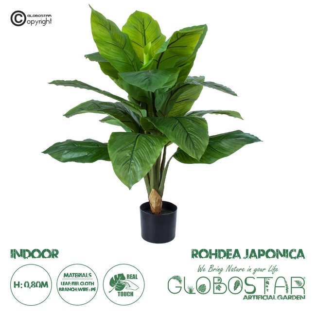 Artificial Garden ROHDEA JAPONICA 20068 Τεχνητό Διακοσμητικό Φυτό Ιαπωνέζικη Ροδέα Υ80cm