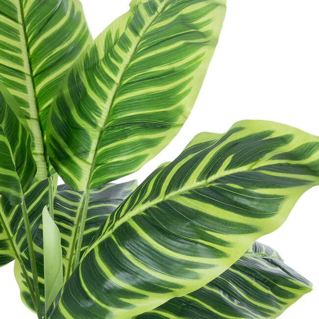Artificial Garden YELLOW ZEBRA 20942 Τεχνητό Διακοσμητικό Φυτό Κίτρινη Ζέβρα Υ90cm Artificial Garden YELLOW ZEBRA 20942 Τεχνητό Διακοσμητικό Φυτό Κίτρινη Ζέβρα Υ90cm