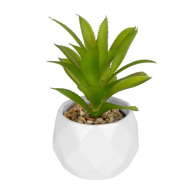 Artificial Garden SUCCULENT ALOE POTTED PLANT 20984 Διακοσμητικό Φυτό Αλόη Φ9 x Υ12cm
