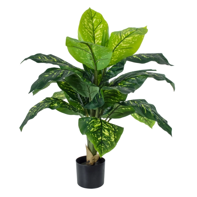 Artificial Garden ROHDEA JAPONICA 20067 Τεχνητό Διακοσμητικό Φυτό Ιαπωνέζικη Ροδέα Υ80cm Artificial Garden ROHDEA JAPONICA 20067 Τεχνητό Διακοσμητικό Φυτό Ιαπωνέζικη Ροδέα Υ80cm