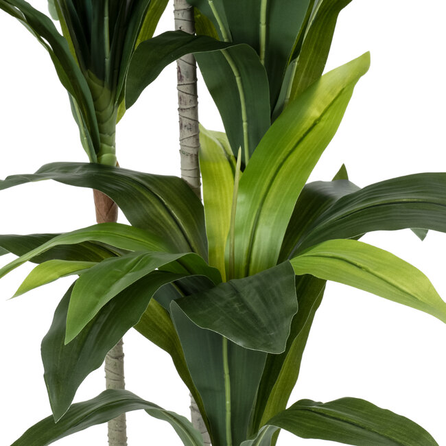 Artificial Garden DRACAENA SILK 20043 Τεχνητό Διακοσμητικό Φυτό Δράκαινα Υ130cm Artificial Garden DRACAENA SILK 20043 Τεχνητό Διακοσμητικό Φυτό Δράκαινα Υ130cm