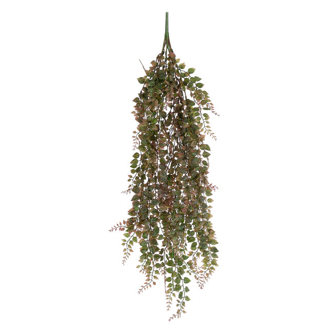 Artificial Garden HANGING ADIANTUM 20839 Τεχνητό Διακοσμητικό Κρεμαστό Κλαδί Αδίαντο Μ20 x Π6 x Υ90cm Artificial Garden HANGING ADIANTUM 20839 Τεχνητό Διακοσμητικό Κρεμαστό Κλαδί Αδίαντο Μ20 x Π6 x Υ90cm