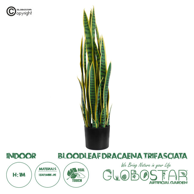 Artificial Garden BLOODLEAF DRACAENA TRIFASCIATA 20062 Τεχνητό Διακοσμητικό Φυτό Αιματόφυλλη Σανσεβιέρια Υ100cm
