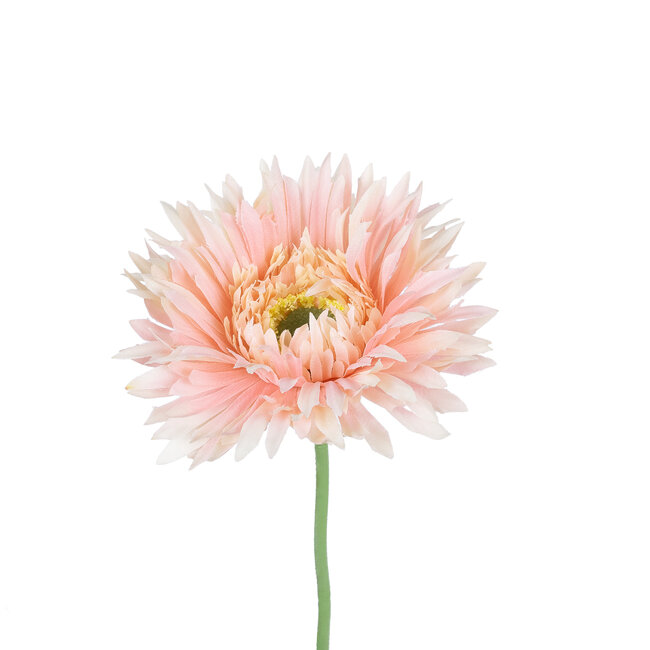 Artificial Garden PINK GERBERA  BRANCH 21105 Τεχνητό Διακοσμητικό Κλαδί Ζέρμπερας Ροζ Y44cm - 3