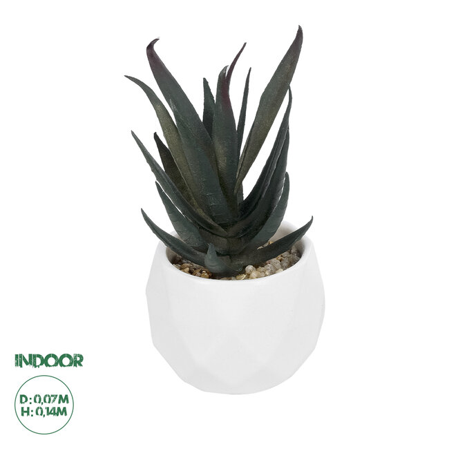 Artificial Garden SUCCULENT ALOE POTTED PLANT 20978 Διακοσμητικό Φυτό Αλόης Φ7 x Υ14cm Artificial Garden SUCCULENT ALOE POTTED PLANT 20978 Διακοσμητικό Φυτό Αλόης Φ7 x Υ14cm