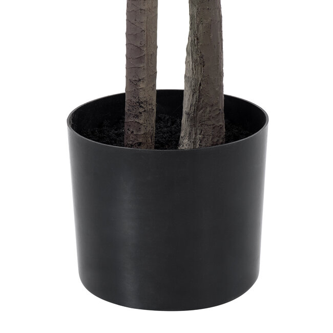 Artificial Garden DRAGON BLOOD TREE 20371 Τεχνητό Διακοσμητικό Φυτό Δράκαινα Υ220cm - 6