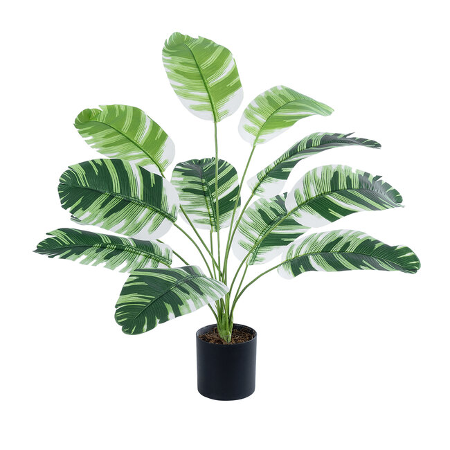 Artificial Garden BANANA ZEBRA 20929 Διακοσμητικό Φυτό Μπανανιά Ζέβρα Υ55cm Artificial Garden BANANA ZEBRA 20929 Διακοσμητικό Φυτό Μπανανιά Ζέβρα Υ55cm