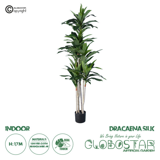 Artificial Garden DRACAENA SILK 20044 Τεχνητό Διακοσμητικό Φυτό Δράκαινα Υ170cm