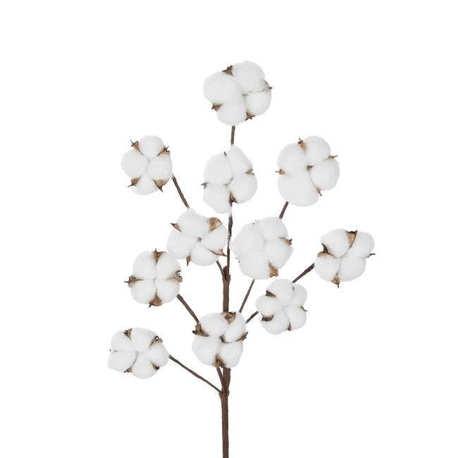 Artificial Garden COTTON BRANCH 20569 Τεχνητό Διακοσμητικό Κλαδί Βαμβάκι Μ30 x Π6 x Υ80 cm