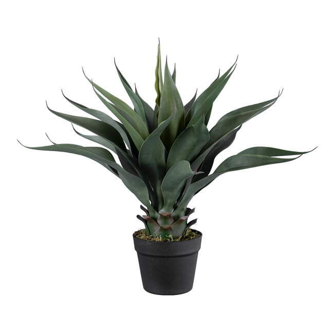Artificial Garden SISAL AGAVE 20080 Τεχνητό Διακοσμητικό Φυτό Αγαύη Υ60cm