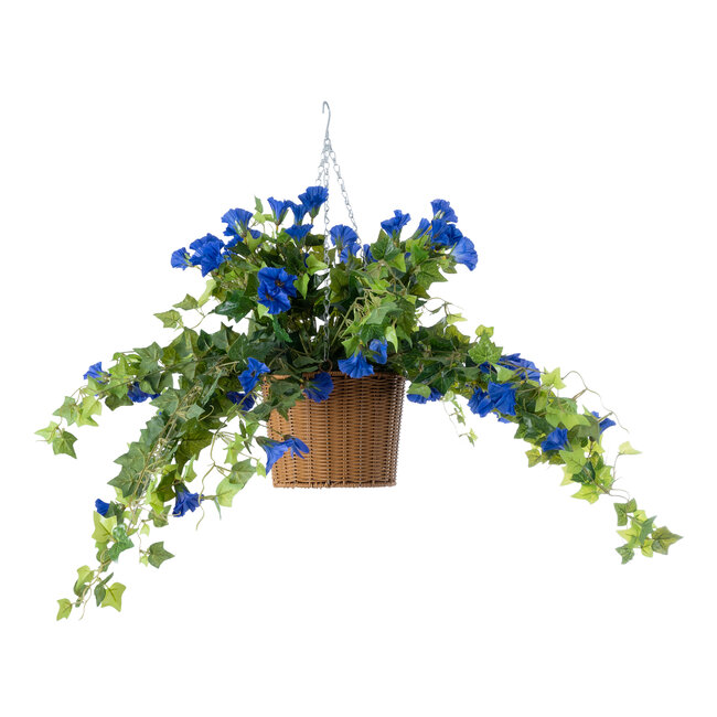 Artificial Garden MORNING GLORY HANGING PLANT 20636 Τεχνητό Κρεμαστό Διακοσμητικό Φυτό Ορτανσίας Y55cm Artificial Garden MORNING GLORY HANGING PLANT 20636 Τεχνητό Κρεμαστό Διακοσμητικό Φυτό Ορτανσίας Y55cm