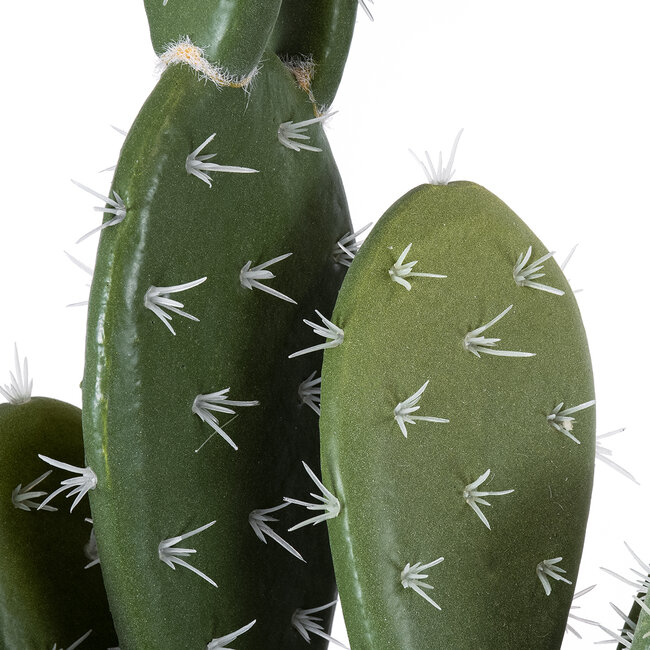 Artificial Garden OPUNTIA FICUS-INDICA CACTUS 20096 Τεχνητό Διακοσμητικό Φυτό Κάκτος Φραγκοσυκιά Υ60cm Artificial Garden OPUNTIA FICUS-INDICA CACTUS 20096 Τεχνητό Διακοσμητικό Φυτό Κάκτος Φραγκοσυκιά Υ60cm