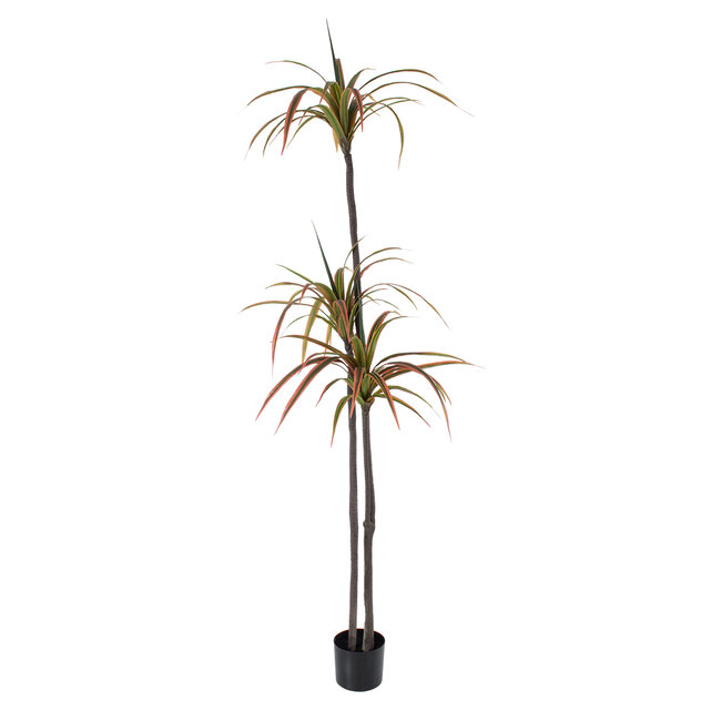 Artificial Garden DRAGON BLOOD TREE 20371 Τεχνητό Διακοσμητικό Φυτό Δράκαινα Υ220cm - 2