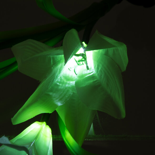 85706 Αυτόνομο Ηλιακό Φωτιστικό Λουλούδι LED SMD 1W 100lm με Ενσωματωμένη Μπαταρία 600mAh - Φωτοβολταϊκό Πάνελ με Αισθητήρα Ημέρας-Νύχτας Αδιάβροχο IP65 Garden Lily Flower Ψυχρό Λευκό 6000K - 11 85706 Αυτόνομο Ηλιακό Φωτιστικό Λουλούδι LED SMD 1W 100lm με Ενσωματωμένη Μπαταρία 600mAh - Φωτοβολταϊκό Πάνελ με Αισθητήρα Ημέρας-Νύχτας Αδιάβροχο IP65 Garden Lily Flower Ψυχρό Λευκό 6000K - 11