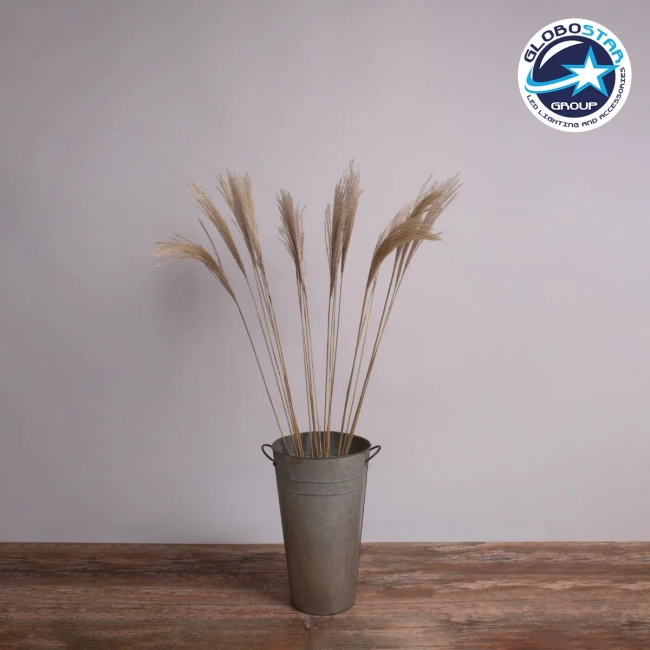 MISCANTHUS 36538 Αποξηραμένο Φυτό Μίσχανθος - Μπουκέτο Διακοσμητικών Κλαδιών Μπεζ Υ120cm - Σετ 10 τμχ