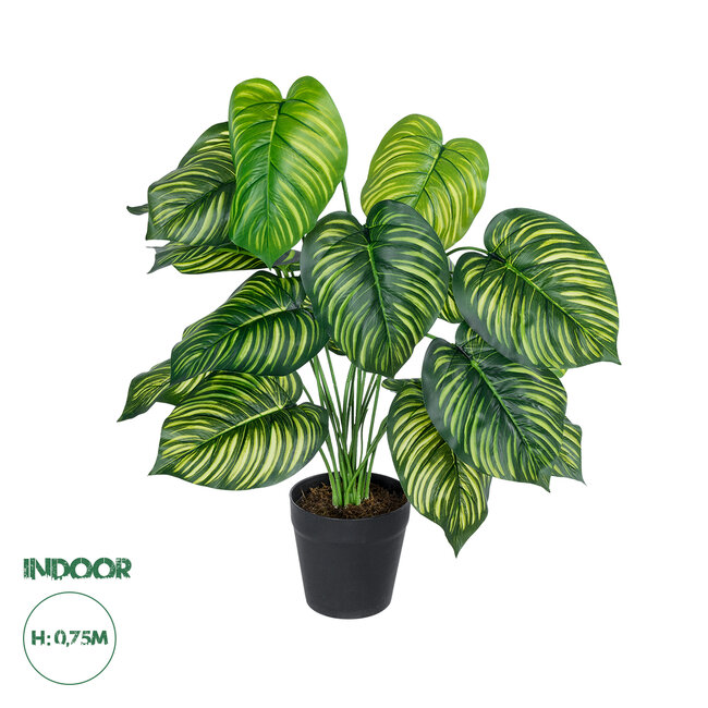 Artificial Garden CALATHEA 20912 Διακοσμητικό Φυτό Καλαθέα Υ75cm