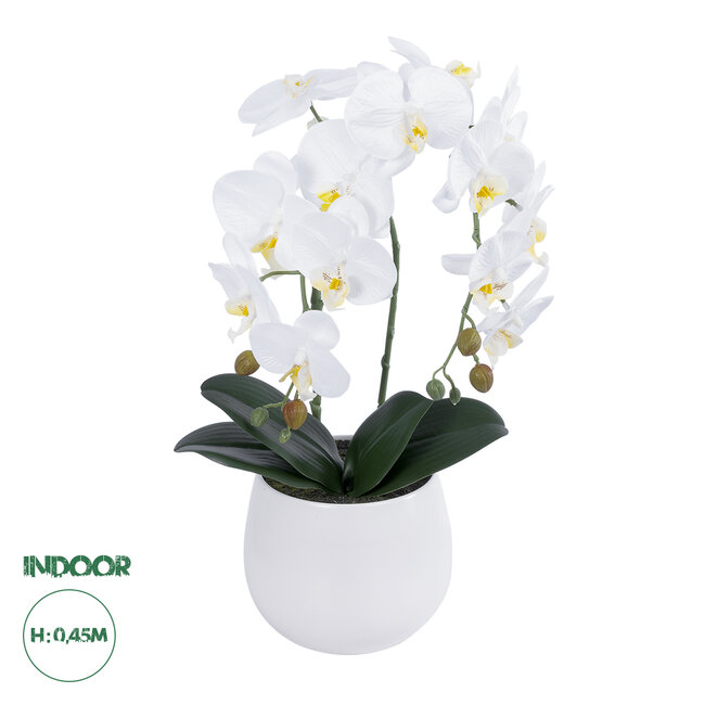Artificial Garden WHITE ORCHID 21117 Διακοσμητικό Φυτό Λευκή Ορχιδέα Υ45cm Artificial Garden WHITE ORCHID 21117 Διακοσμητικό Φυτό Λευκή Ορχιδέα Υ45cm