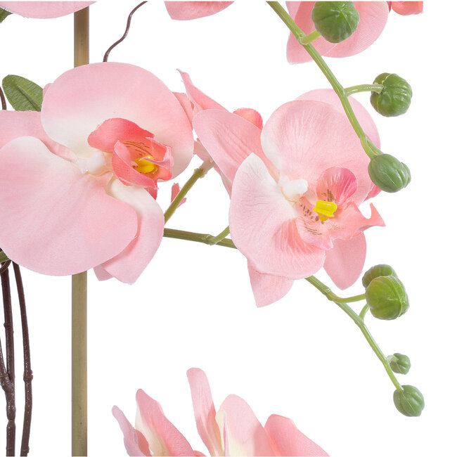Artificial Garden SALMON PINK ORCHID 21122 Διακοσμητικό Φυτό Ροζ-Πορτοκαλί Ορχιδέα Υ43cm Artificial Garden SALMON PINK ORCHID 21122 Διακοσμητικό Φυτό Ροζ-Πορτοκαλί Ορχιδέα Υ43cm