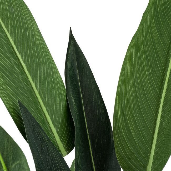 Artificial Garden STRELITZIA 20028 Τεχνητό Διακοσμητικό Φυτό Στρελίτσια - Πουλί του Παραδείσου Υ120cm Artificial Garden STRELITZIA 20028 Τεχνητό Διακοσμητικό Φυτό Στρελίτσια - Πουλί του Παραδείσου Υ120cm