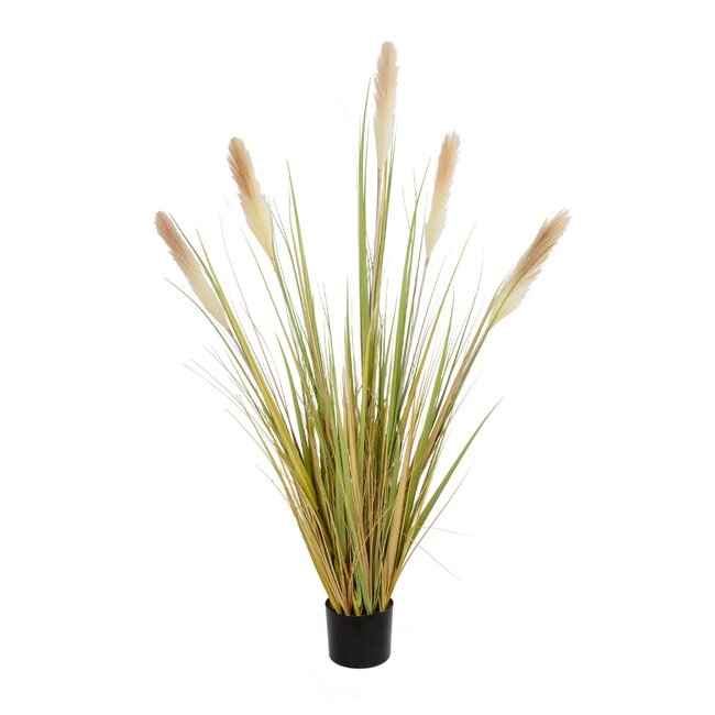 Artificial Garden PAMPAS GRASS 21478 Τεχνητό Διακοσμητικό Φυτό Μπεζ & Πράσινο Πάμπας Μ90 x Π40 x Υ150cm