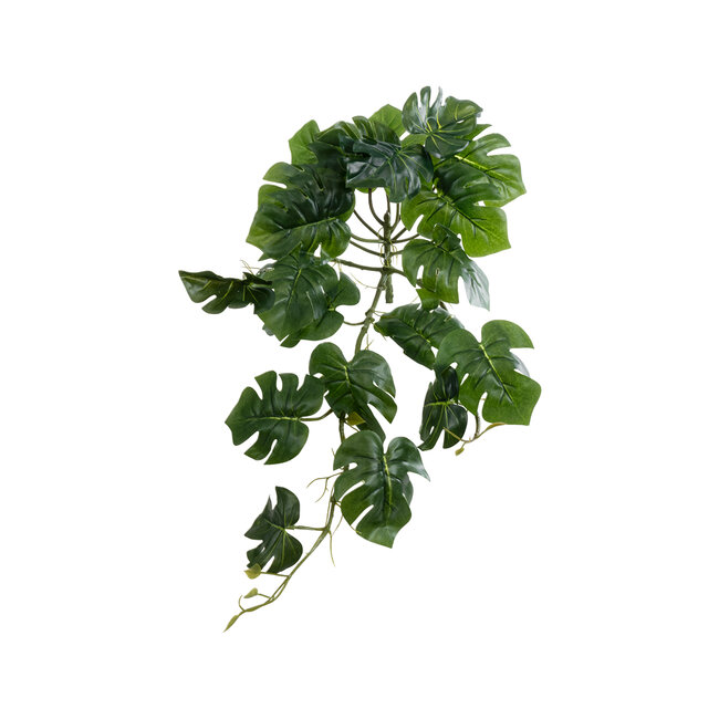 Artificial Garden HANGING MONSTERA 20600 Τεχνητό Διακοσμητικό Κρεμαστό Φυτό Μονστέρα Μ28 x Π30 x Υ50cm Artificial Garden HANGING MONSTERA 20600 Τεχνητό Διακοσμητικό Κρεμαστό Φυτό Μονστέρα Μ28 x Π30 x Υ50cm