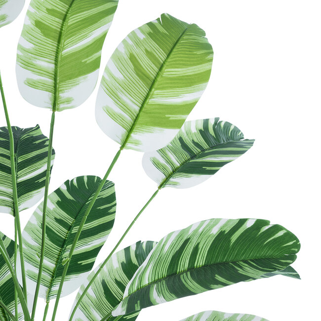 Artificial Garden BANANA ZEBRA 20918 Διακοσμητικό Φυτό Μπανανιά Ζέβρα Υ80cm