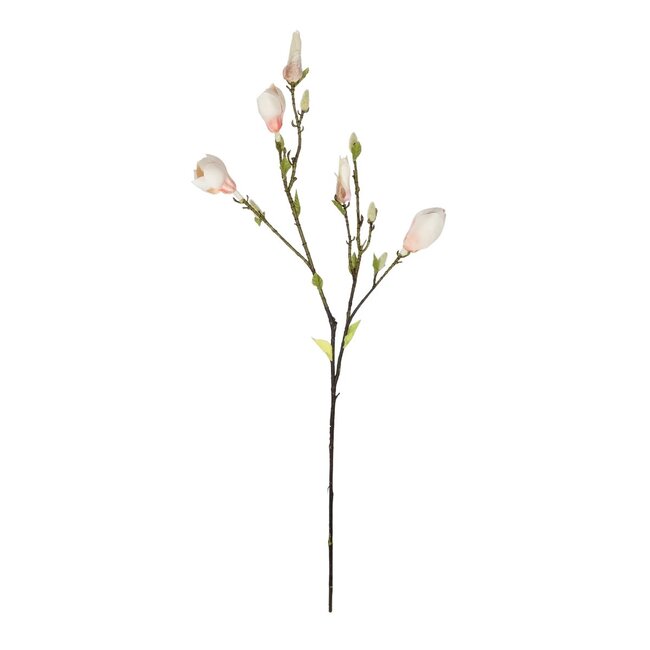 Artificial Garden CHAMPAGNE MAGNOLIA BRANCH 21423 Τεχνητό Διακοσμητικό Κλαδί Σαμπανί Μαγνόλια Y100cm