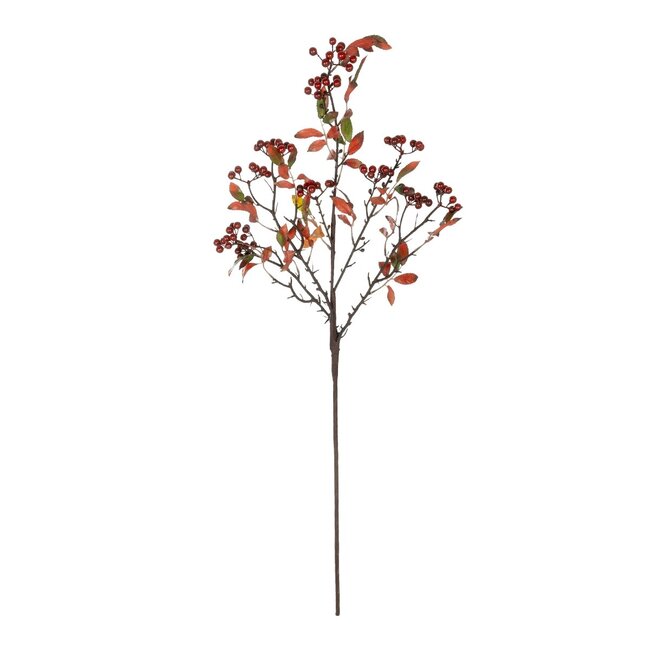 Artificial Garden BROWN BERRIES FRUIT BRANCH 21444 Τεχνητό Διακοσμητικό Κλαδί Κάφε Γκί Y94cm
