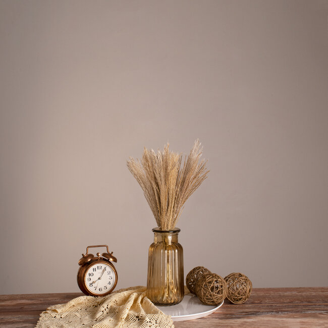 MISCANTHUS 36534 Αποξηραμένο Φυτό Μίσχανθος - Μπουκέτο Διακοσμητικών Κλαδιών Μπεζ Υ40cm